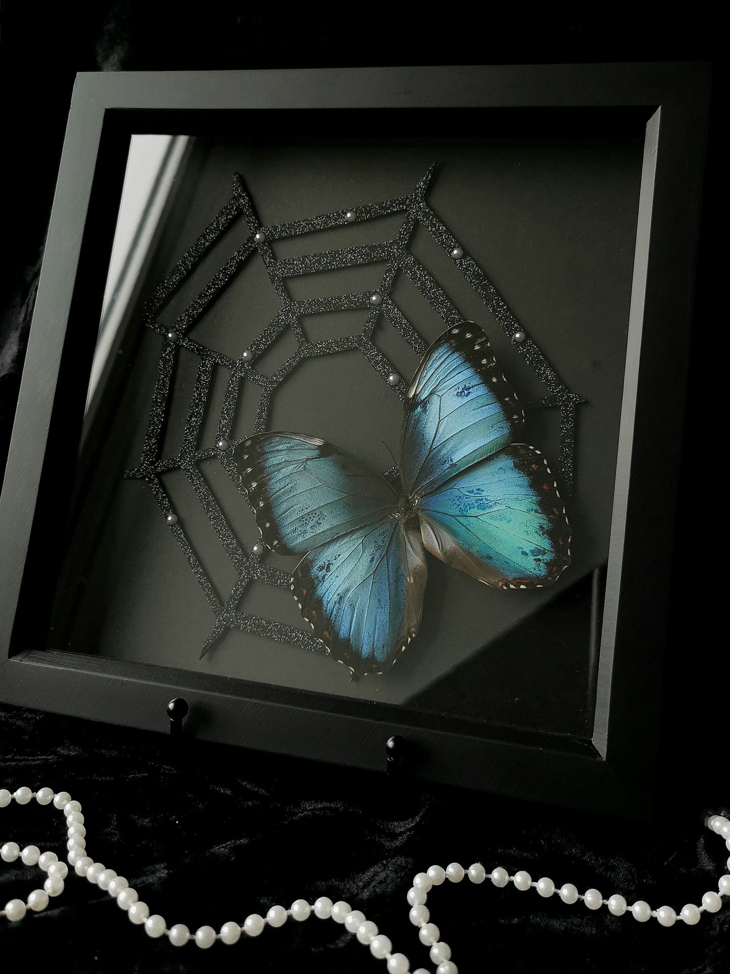 Morpho Helenor gothic glitter entomology frame