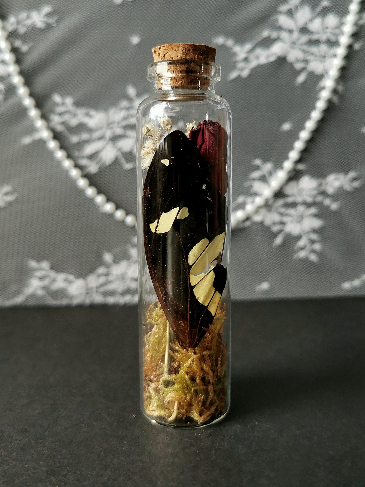 Large curiosity bottle