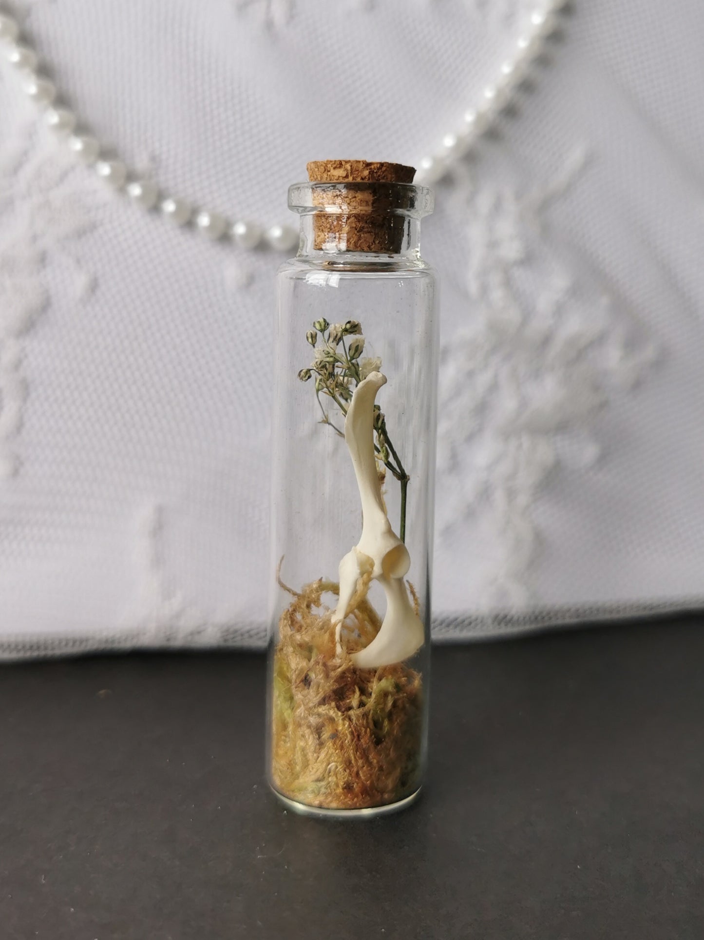 Curiosity bottle set