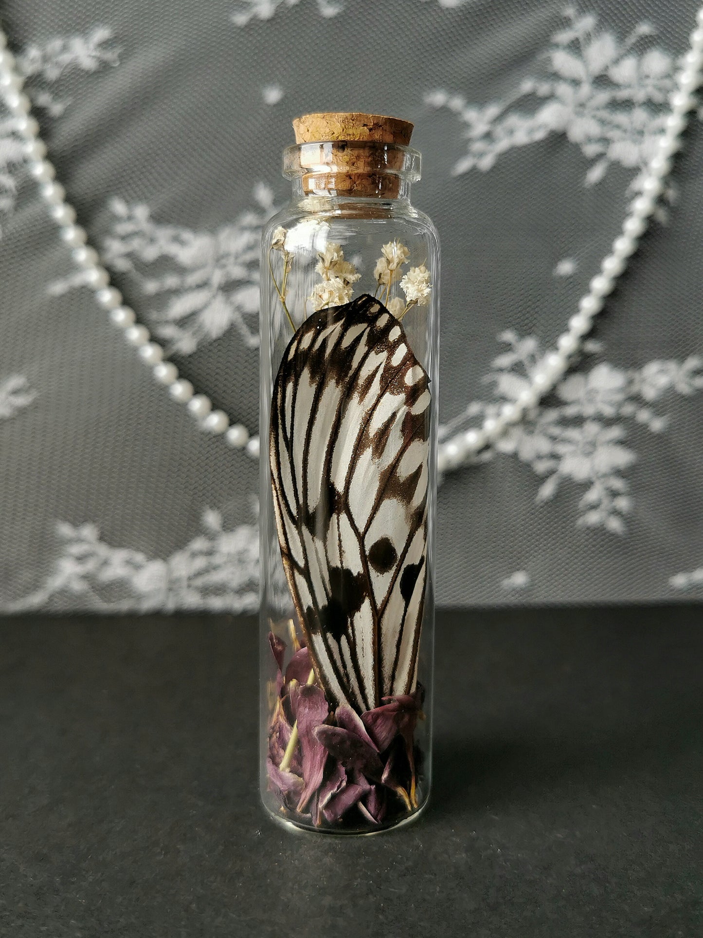 Large curiosity bottle