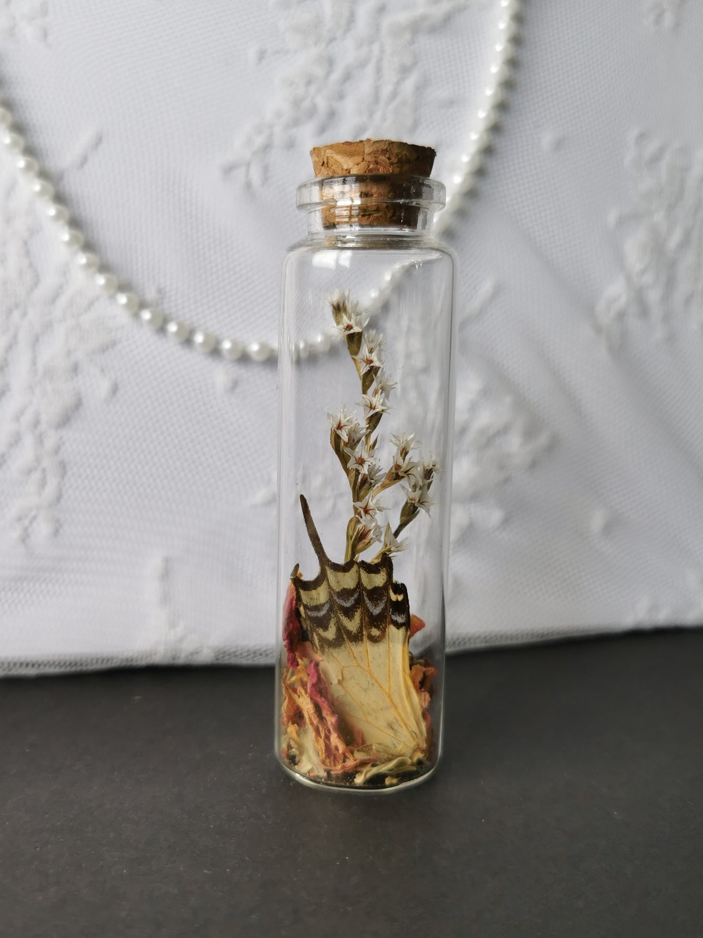 Large curiosity bottle