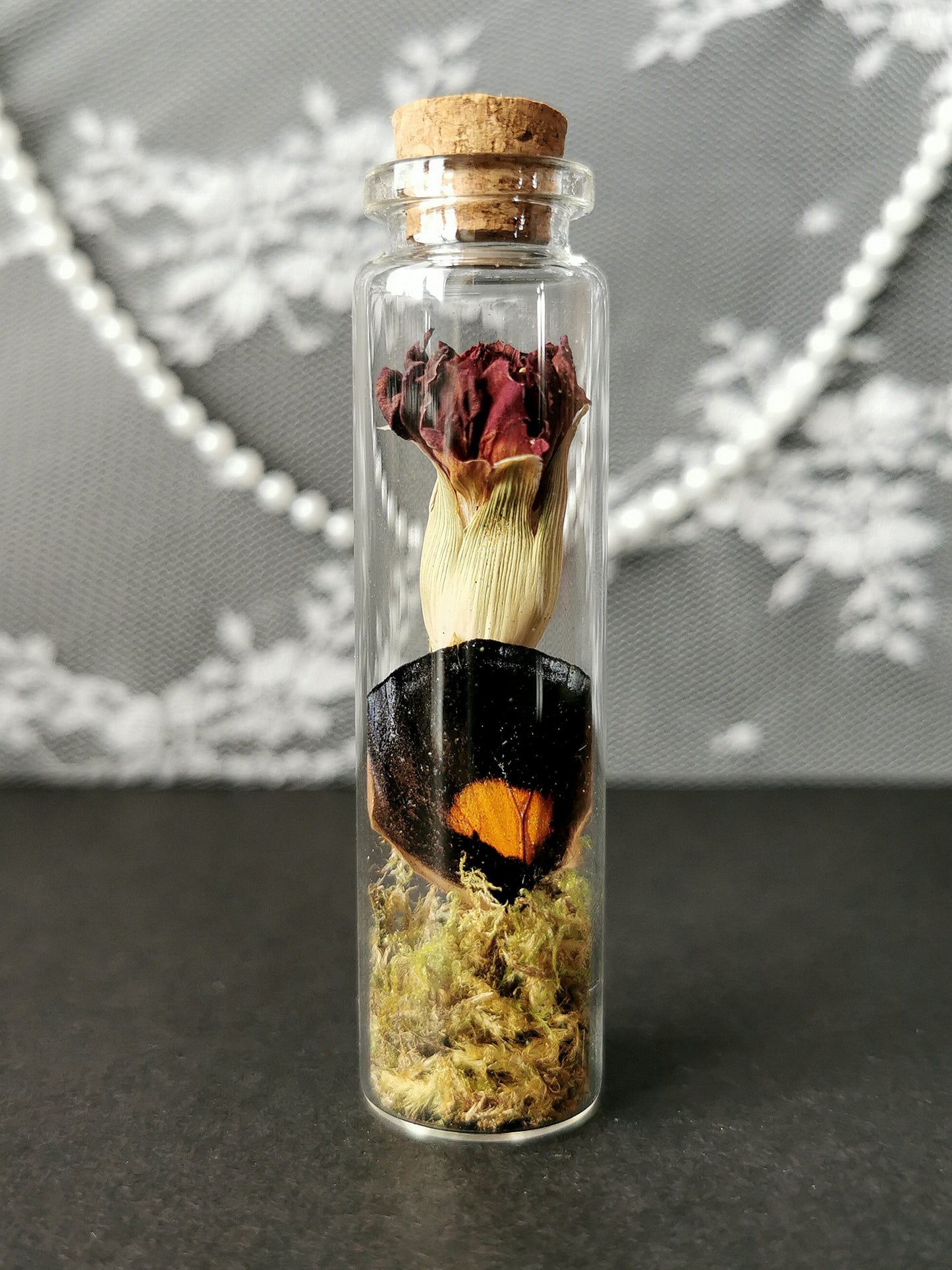 Small curiosity bottle