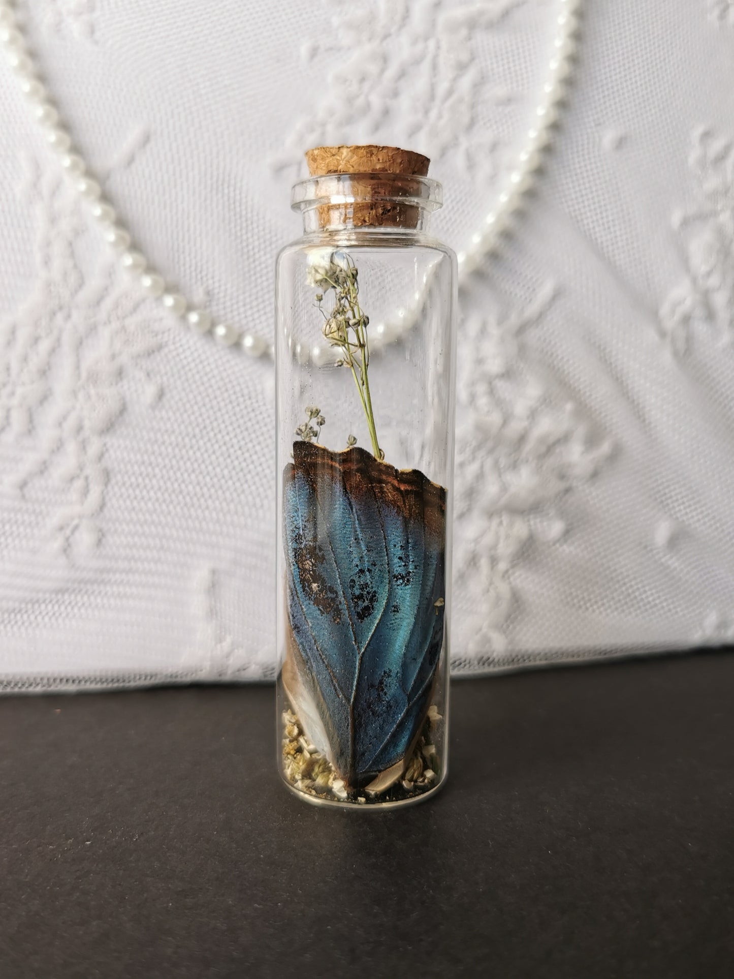 Large curiosity bottle