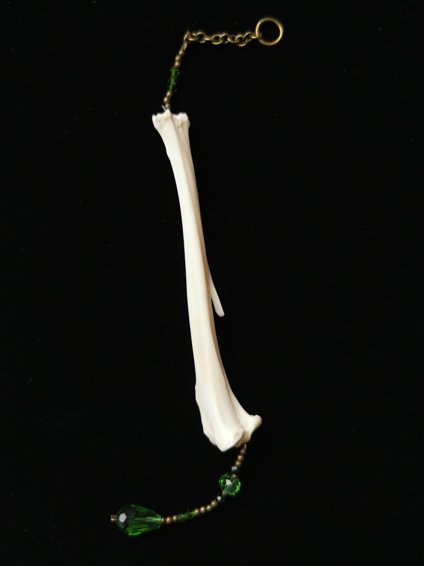 Rabbit tibia suncatcher