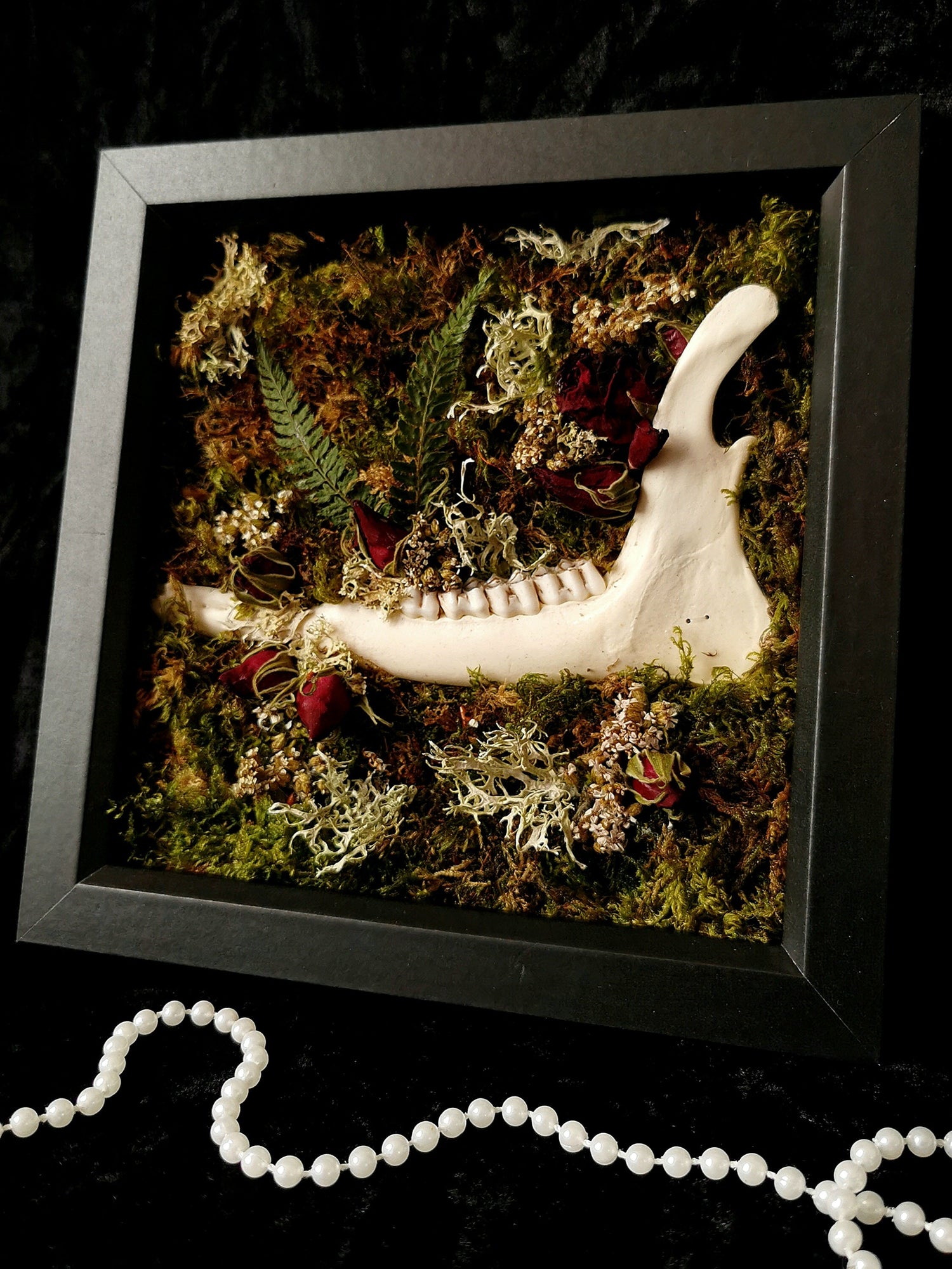 Animal bone frames