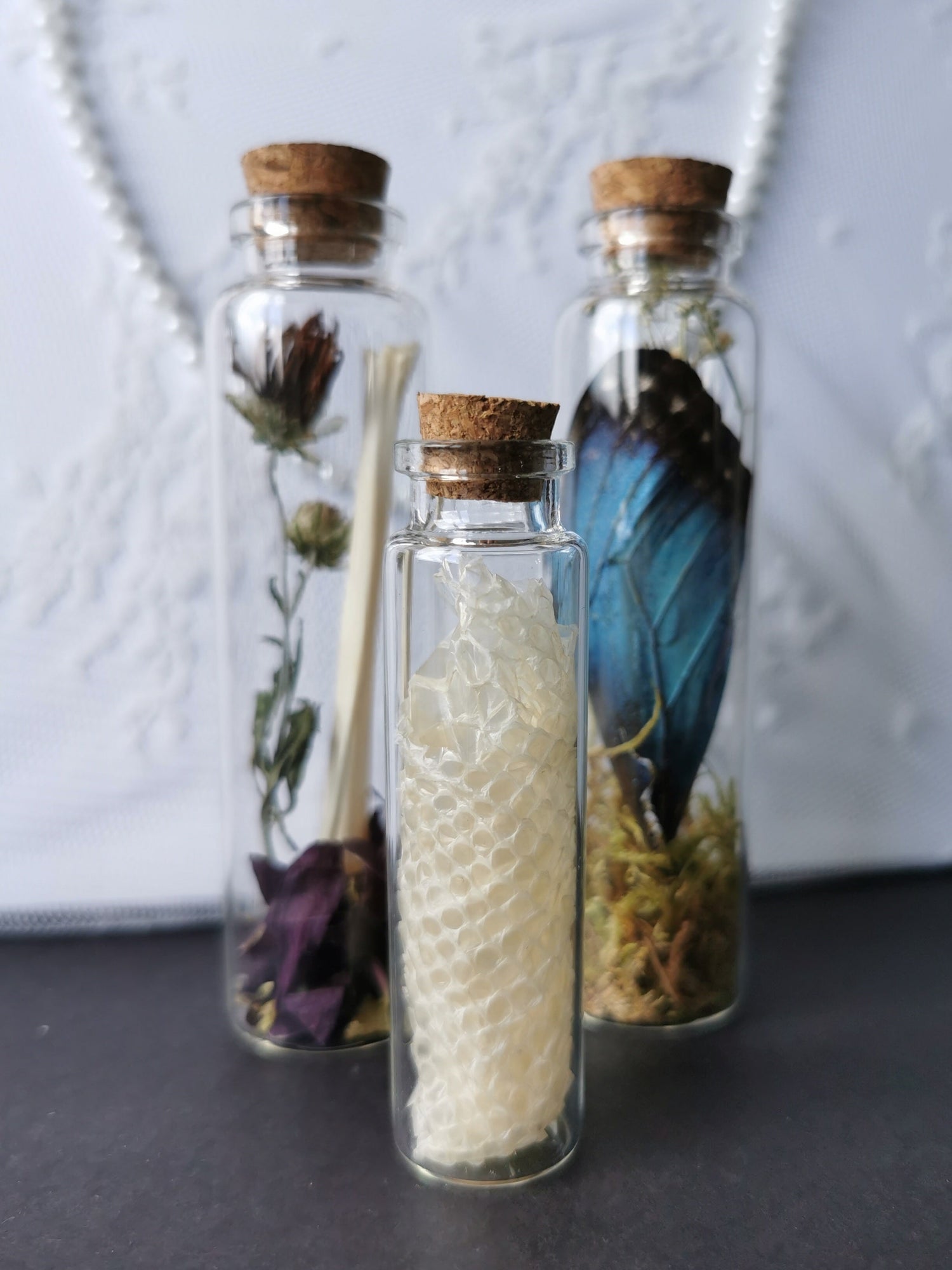 Curiosity bottles