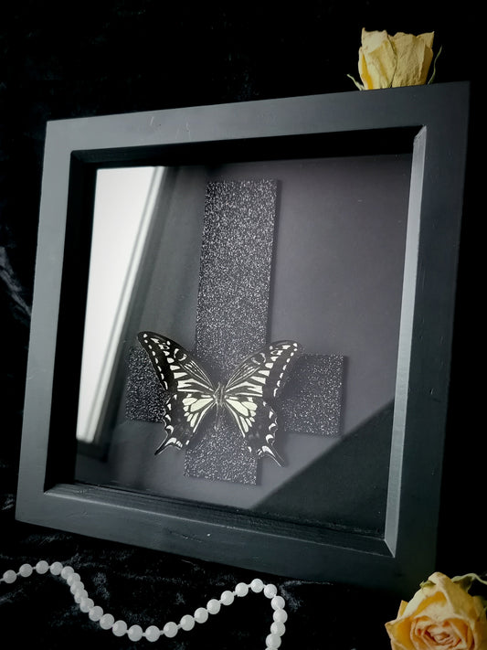 Asian Swallowtail frame