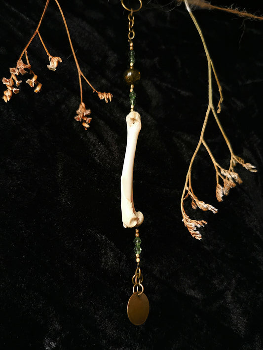 Bone suncatchers