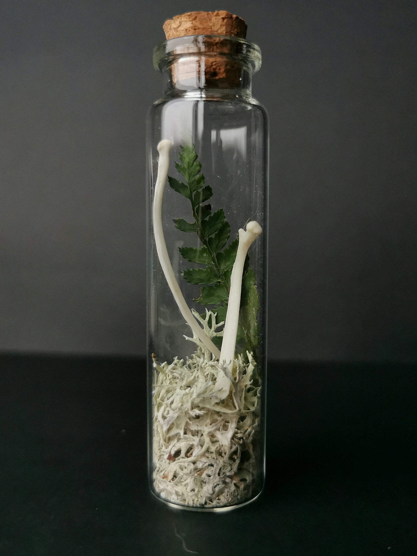 Small curiosity bottle with bones