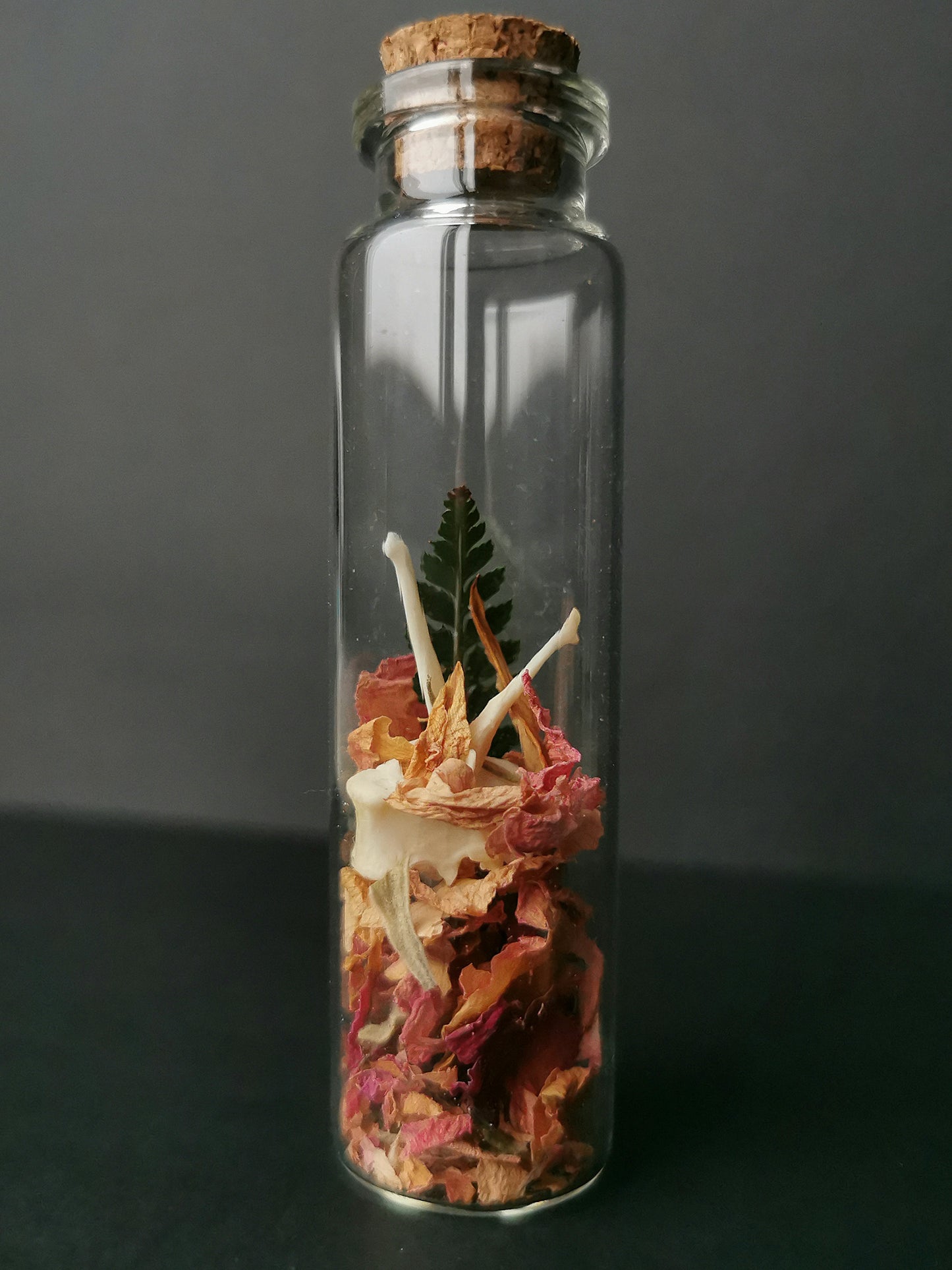 Small curiosity bottle with bones