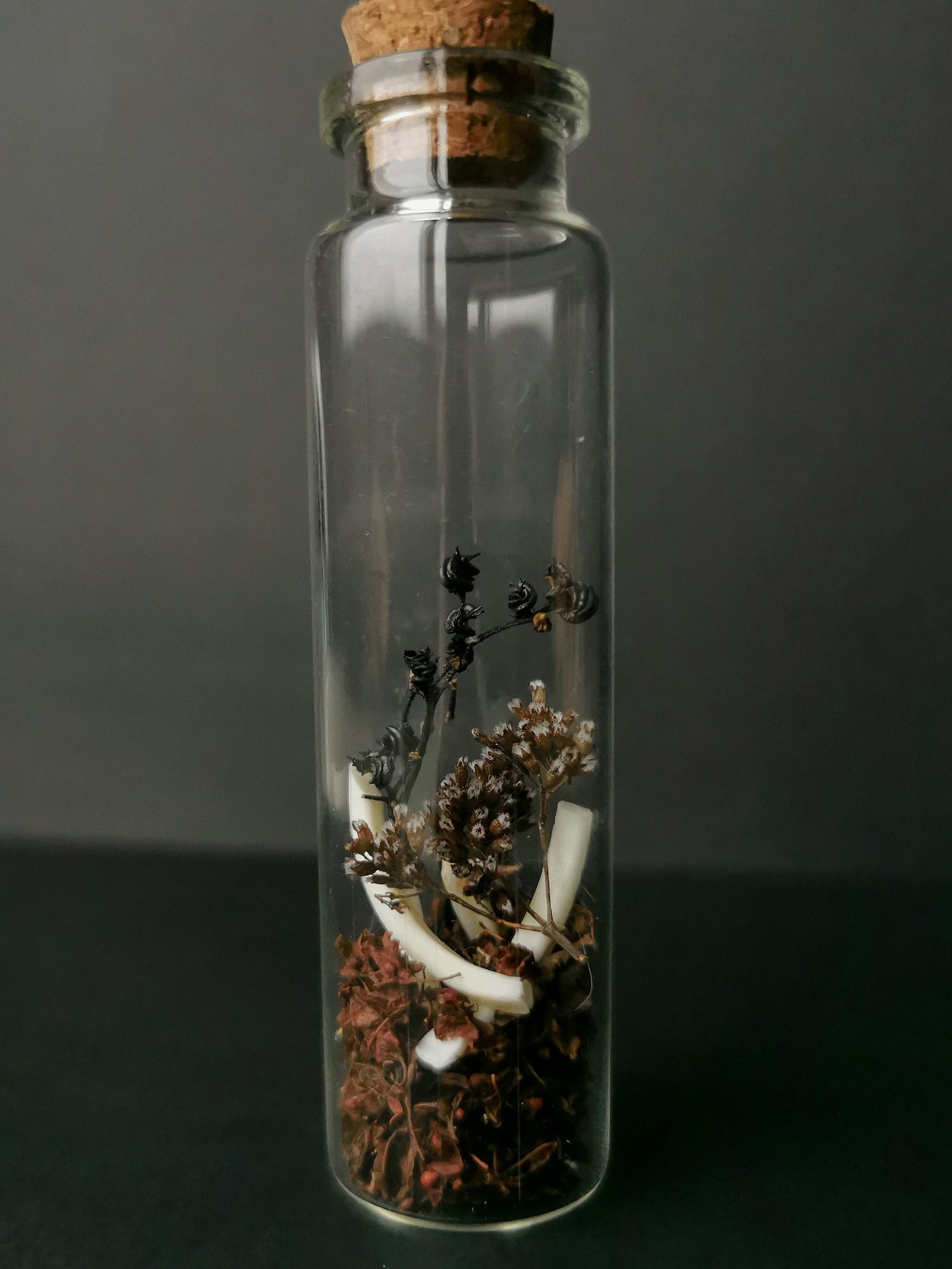 Small curiosity bottle with bones