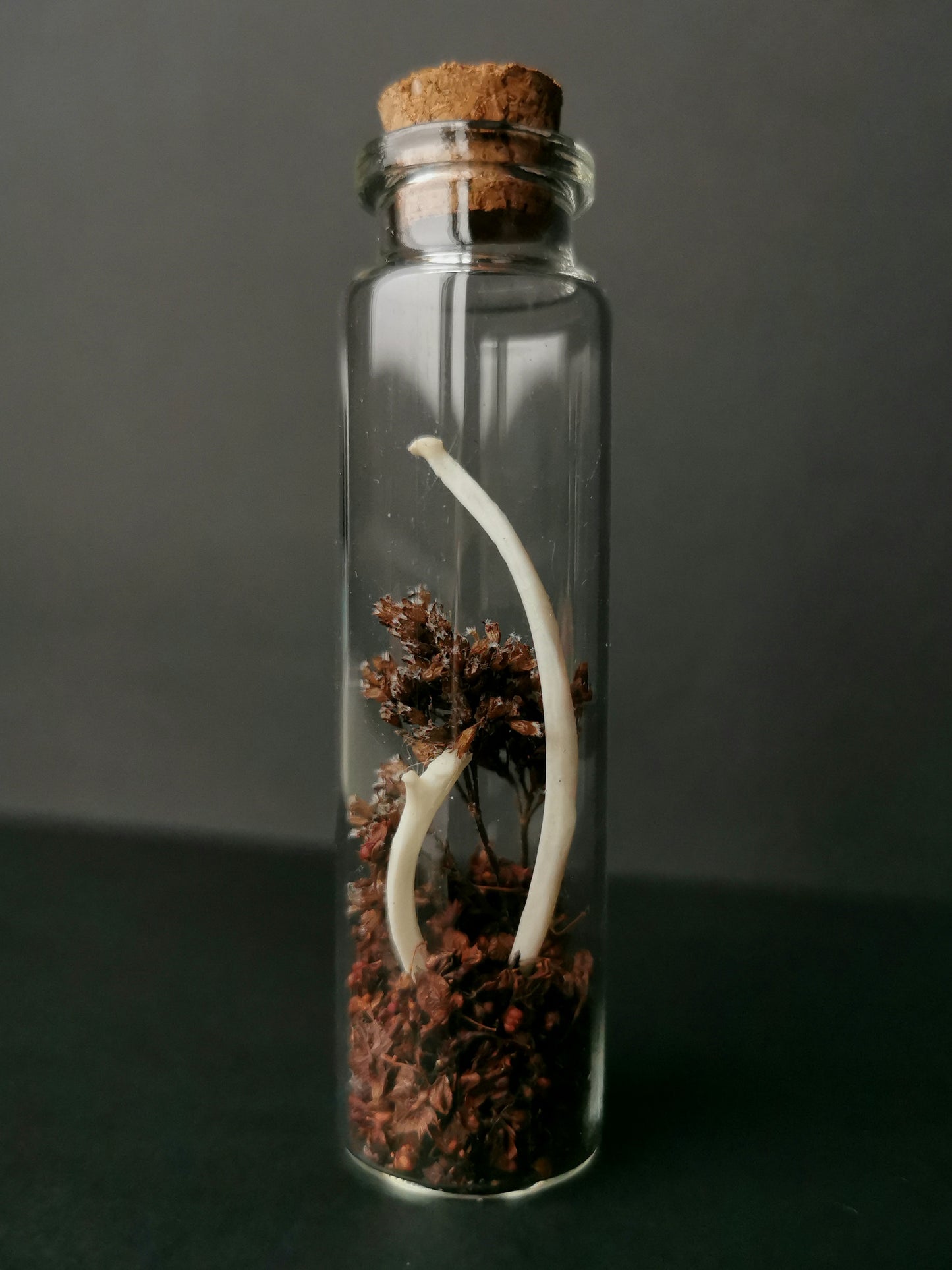 Small curiosity bottle with bones