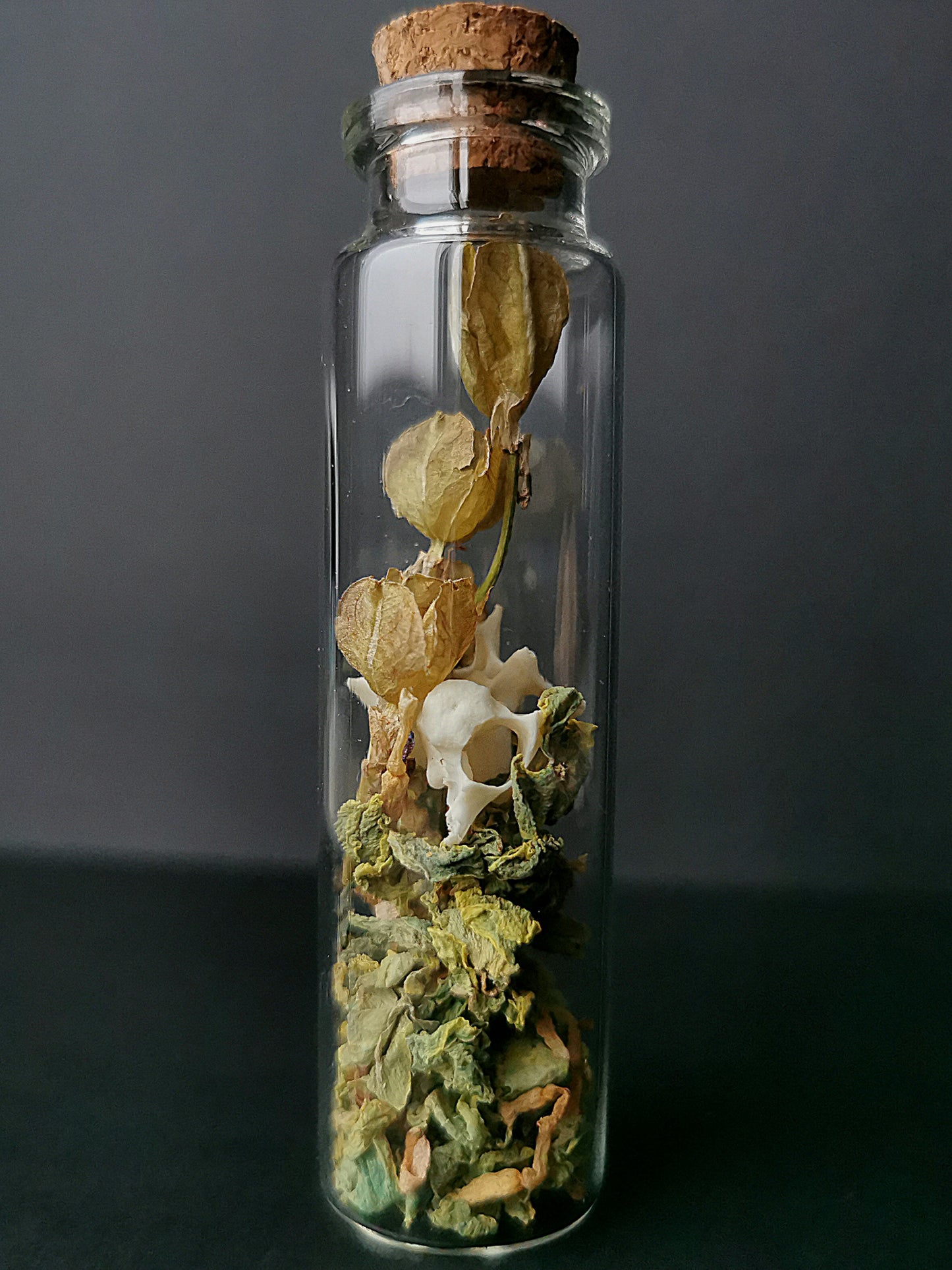 Small curiosity bottle with bones