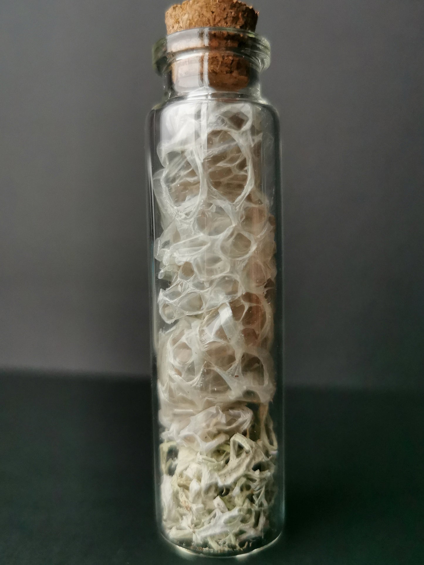 Small curiosity bottle with bones