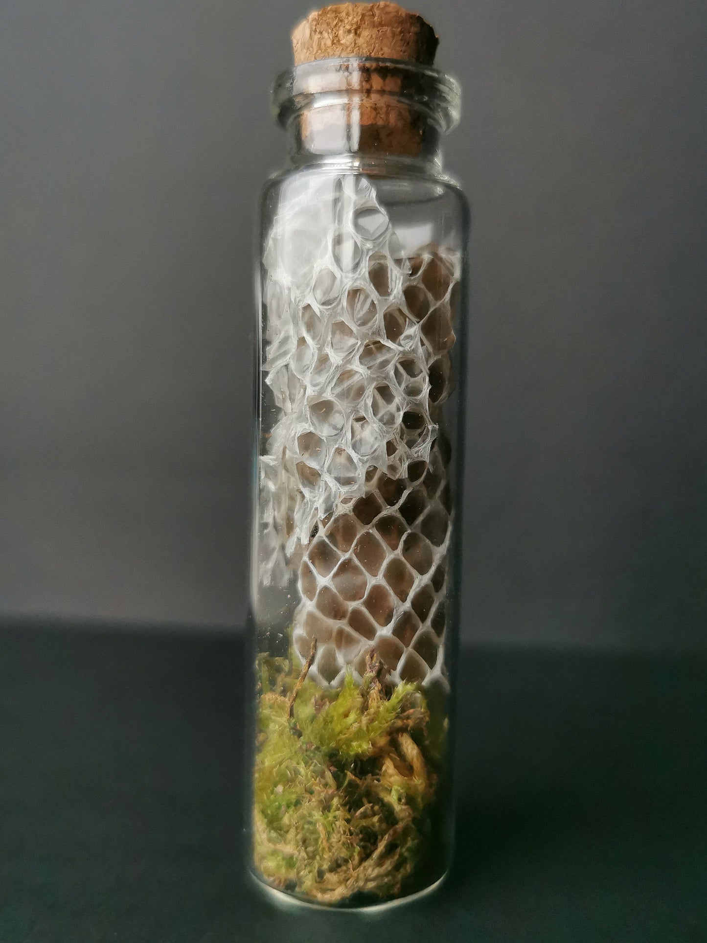 Small curiosity bottle with bones