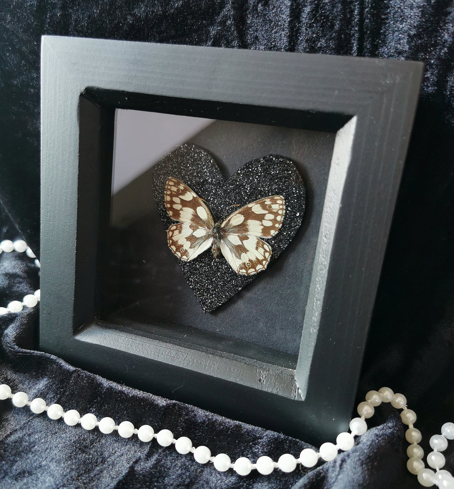 Marbled White butterfly frame