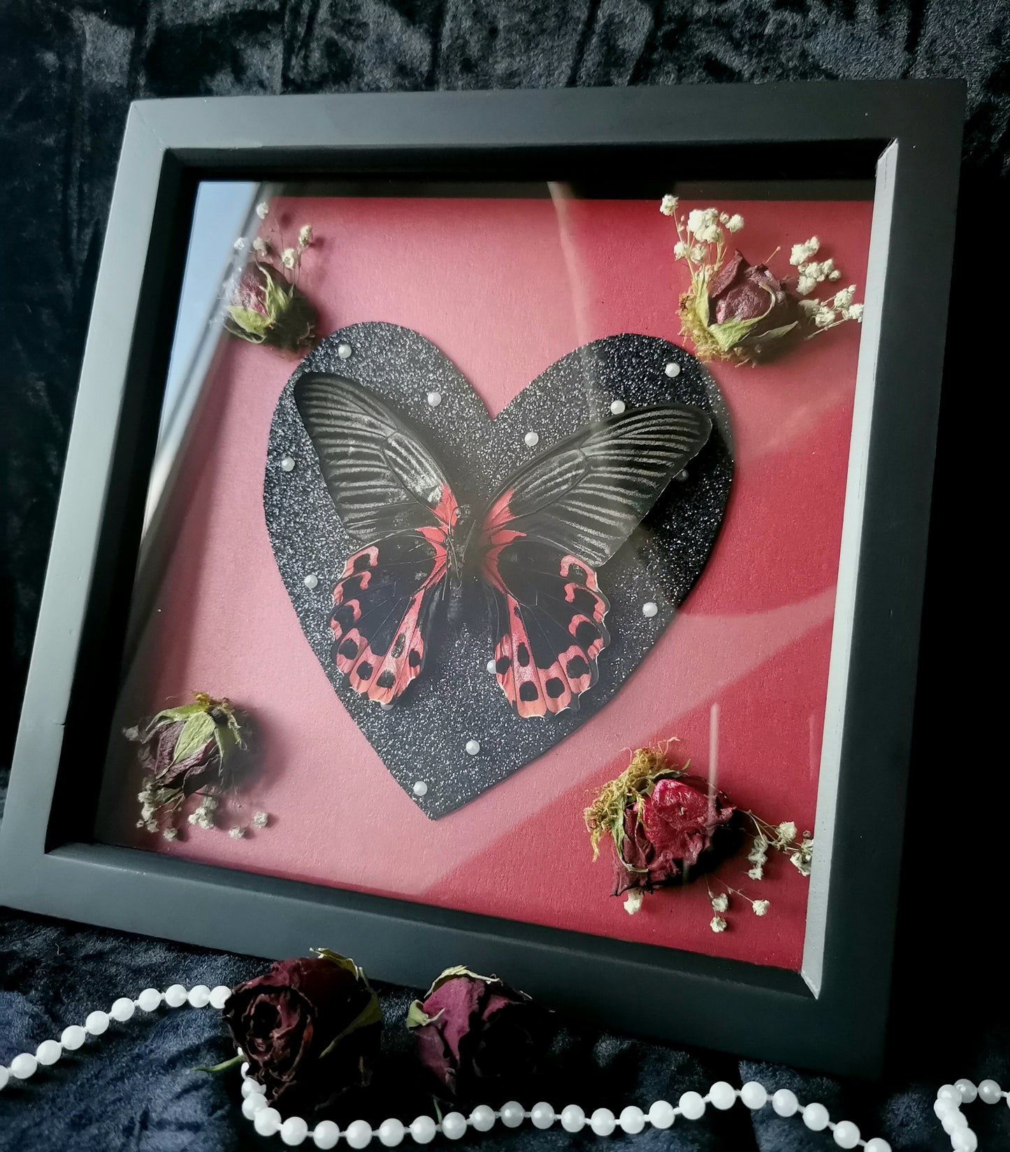 Scarlet Mormon frame