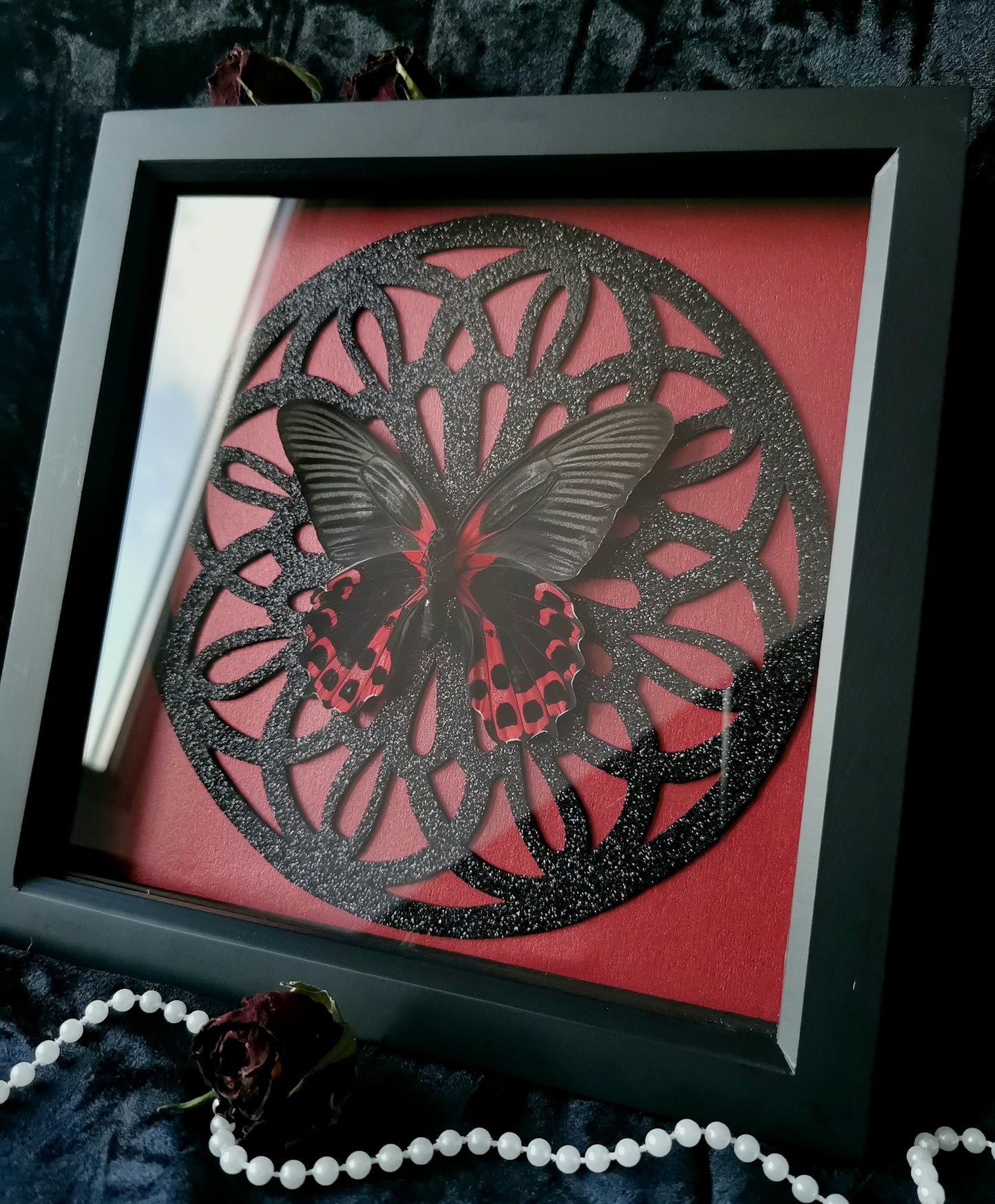 Scarlet Mormon frame