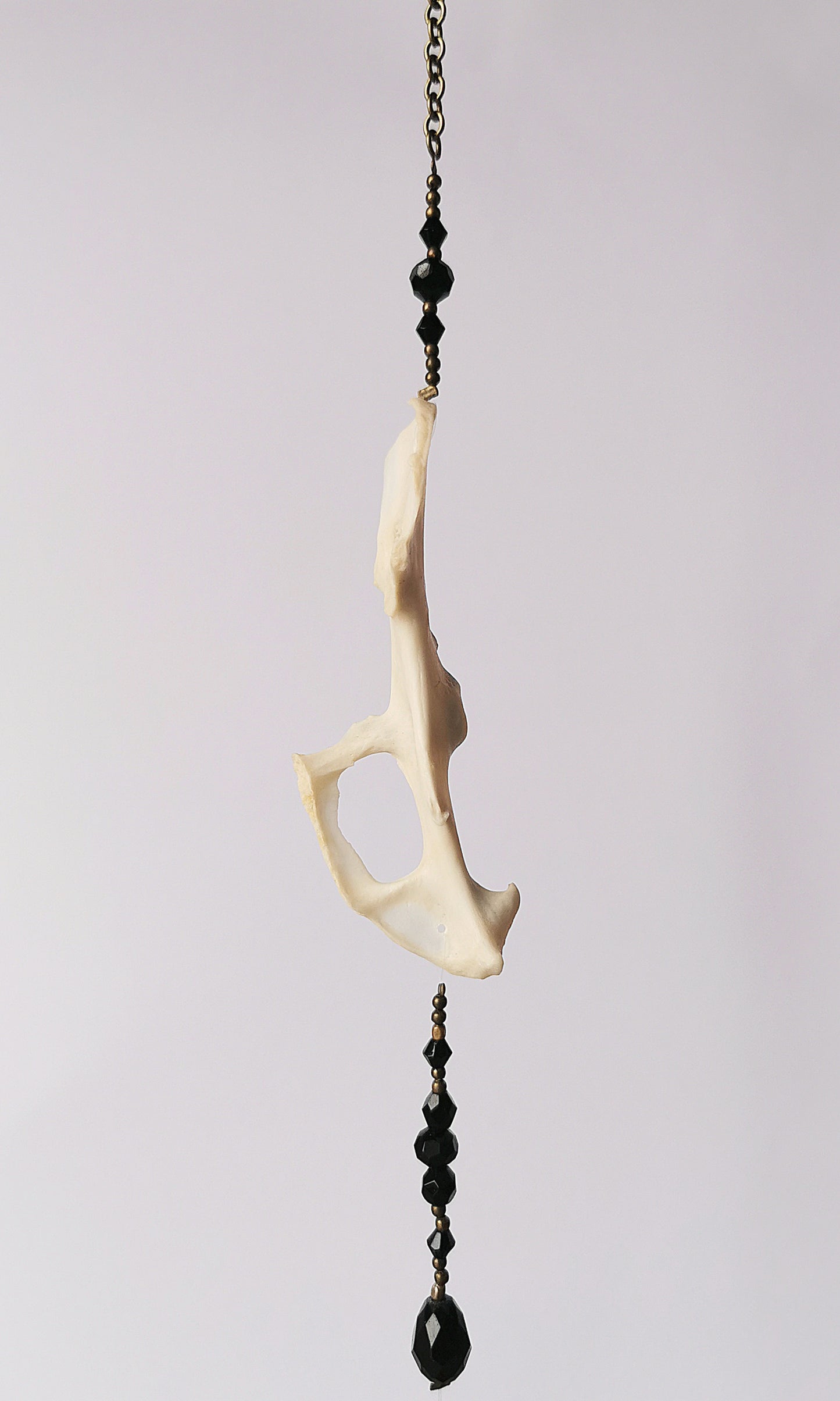 Animal bone suncatcher with black beads