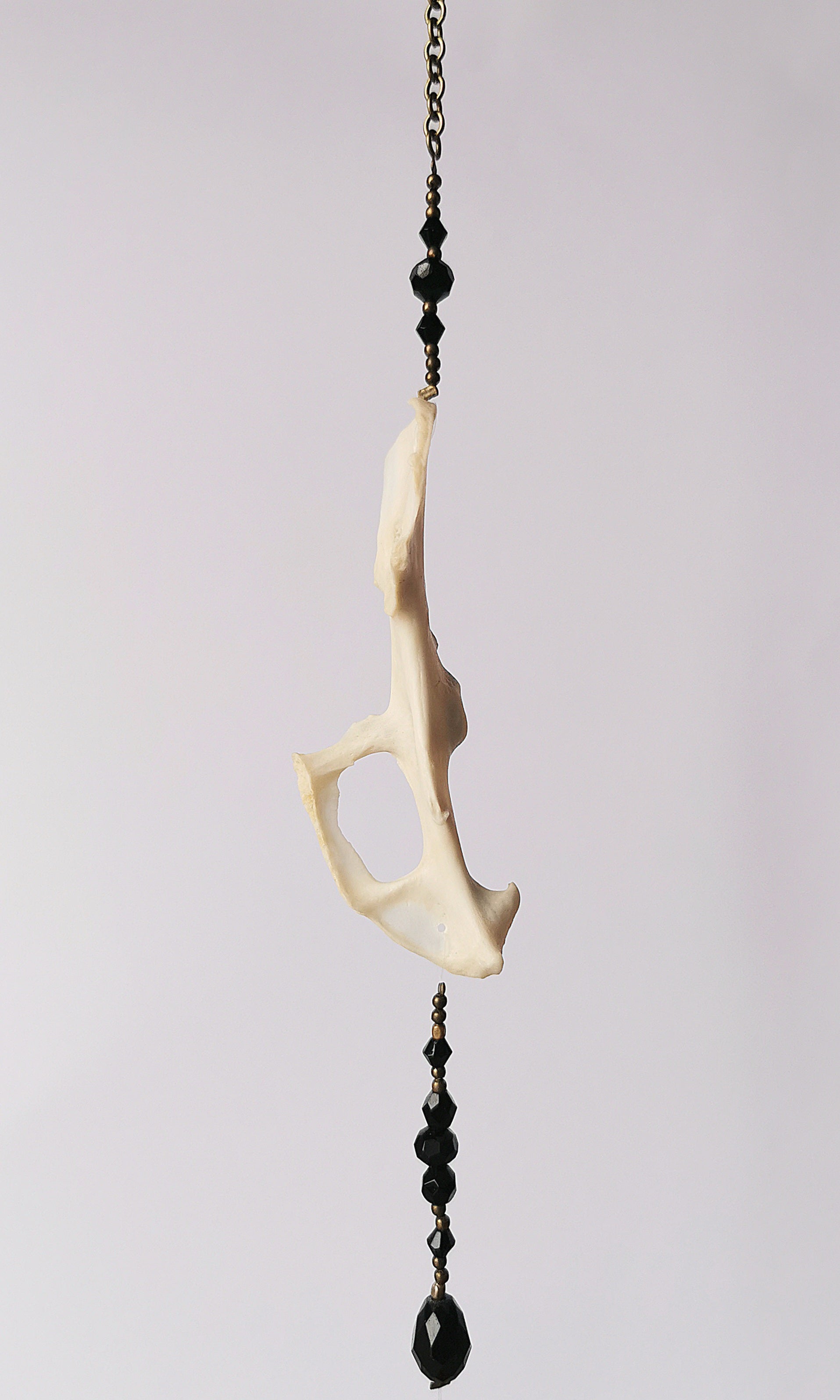 Animal bone suncatcher with black beads
