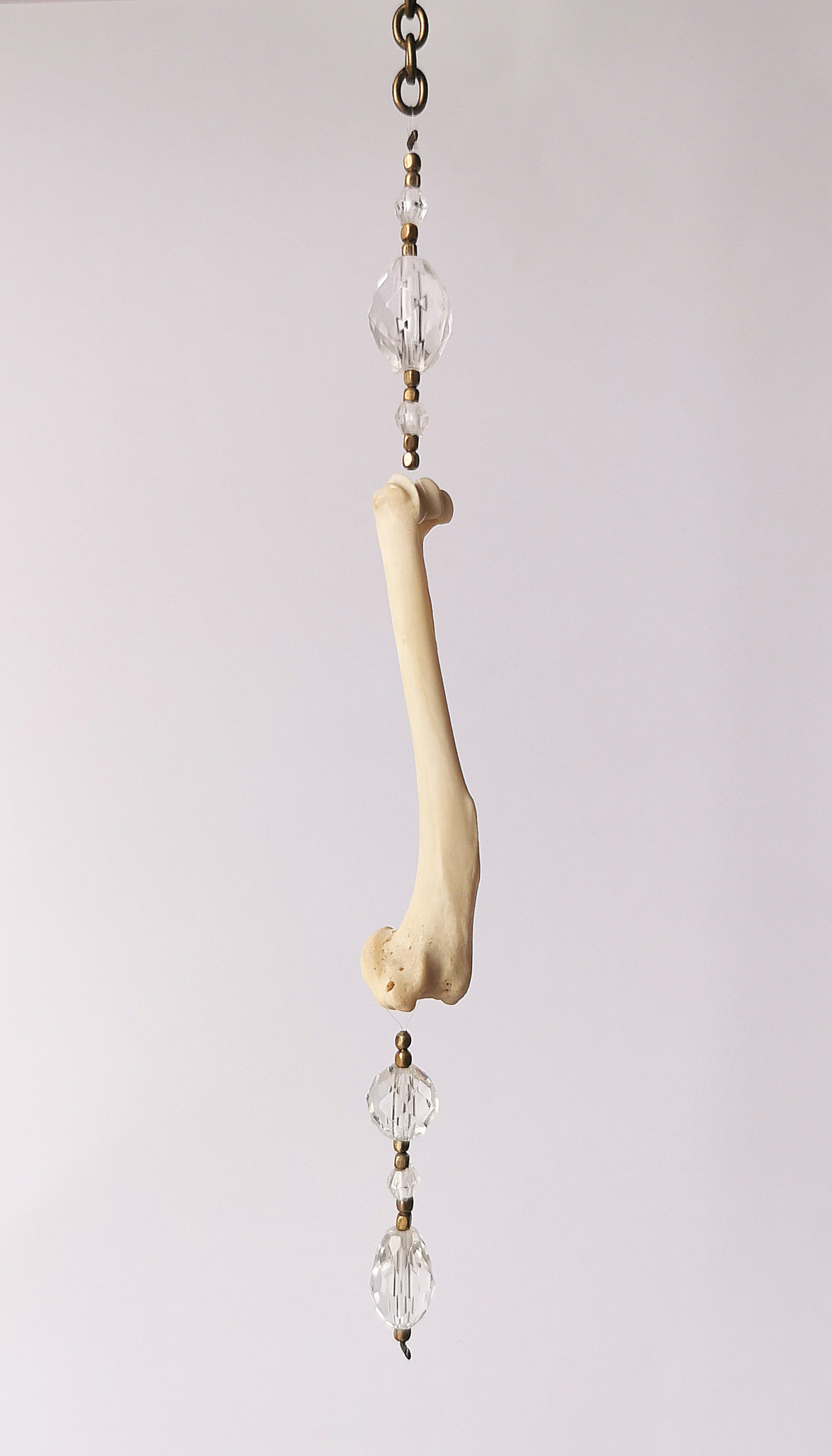 Animal bone suncatcher with clear beads