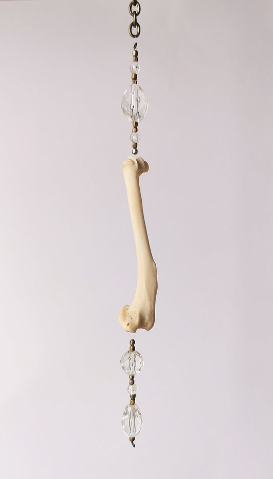 Animal bone suncatcher with clear beads