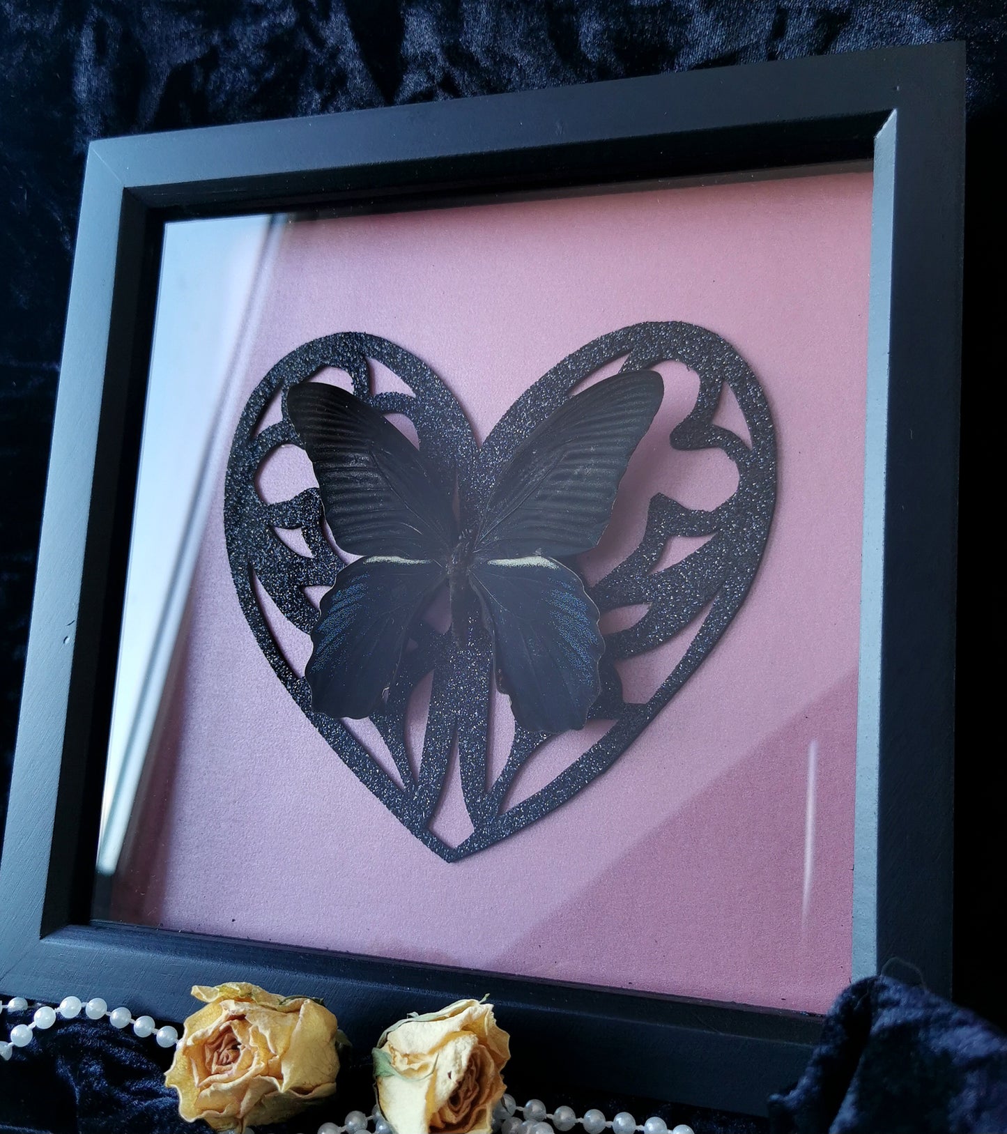 Scarlet Mormon entomology frame with black glitter heart