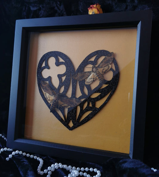 Death's head hawk moths frame