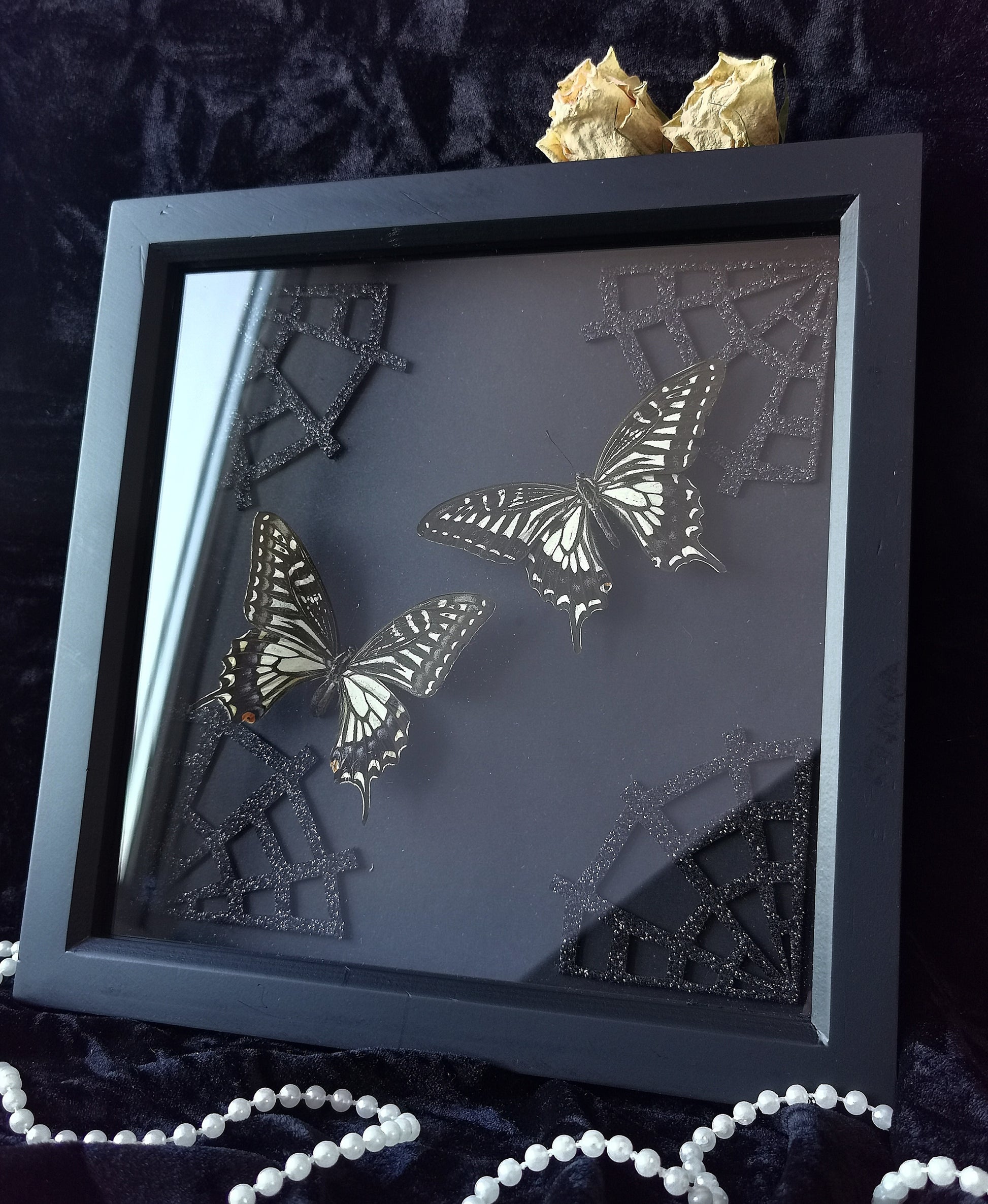 asian swallowtail butterflies entomology frame with spiderweb corners