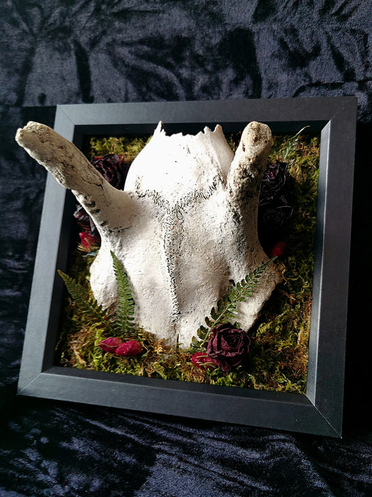 Deer skull cap forage frame