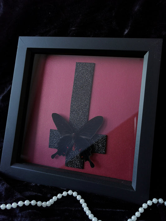 Pink Rose Swallowtail glitter cross entomology frame