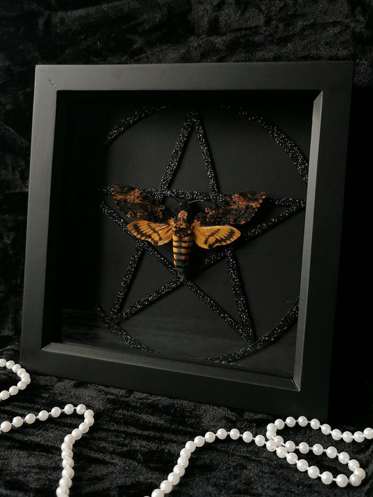 Death's Head Hawk Moth frame with black glitter pentagram