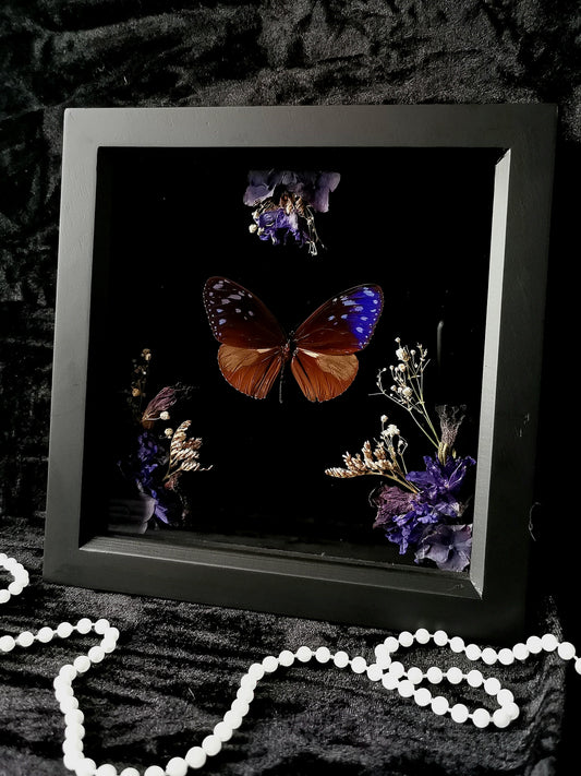 Purple crow butterfly frame with dried flowers