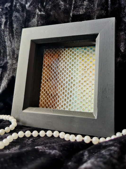 Holographic snake shed frame