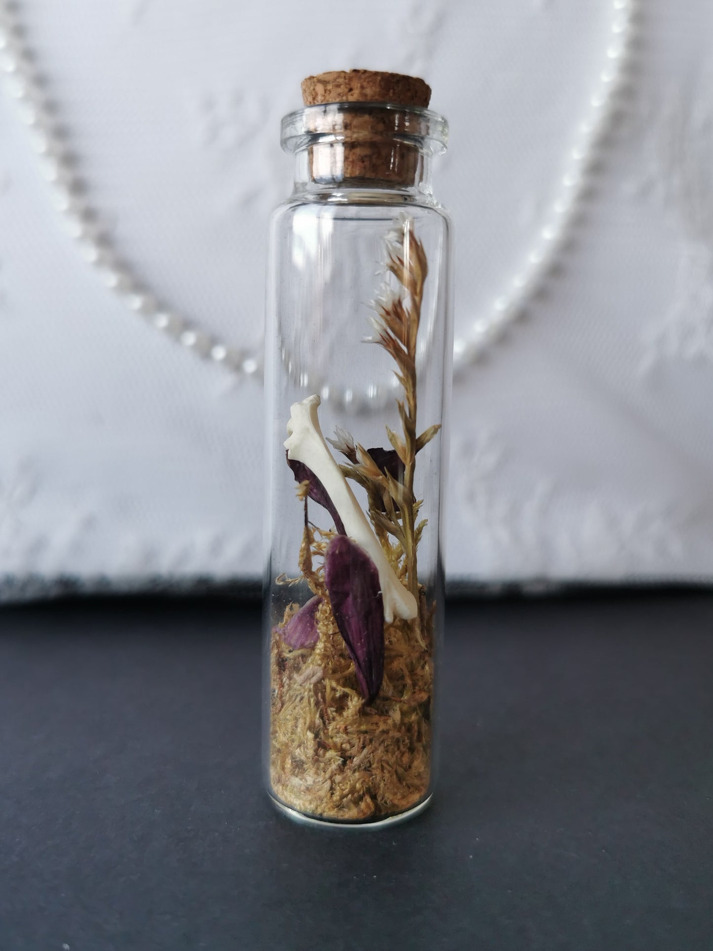 Small curiosity bottle