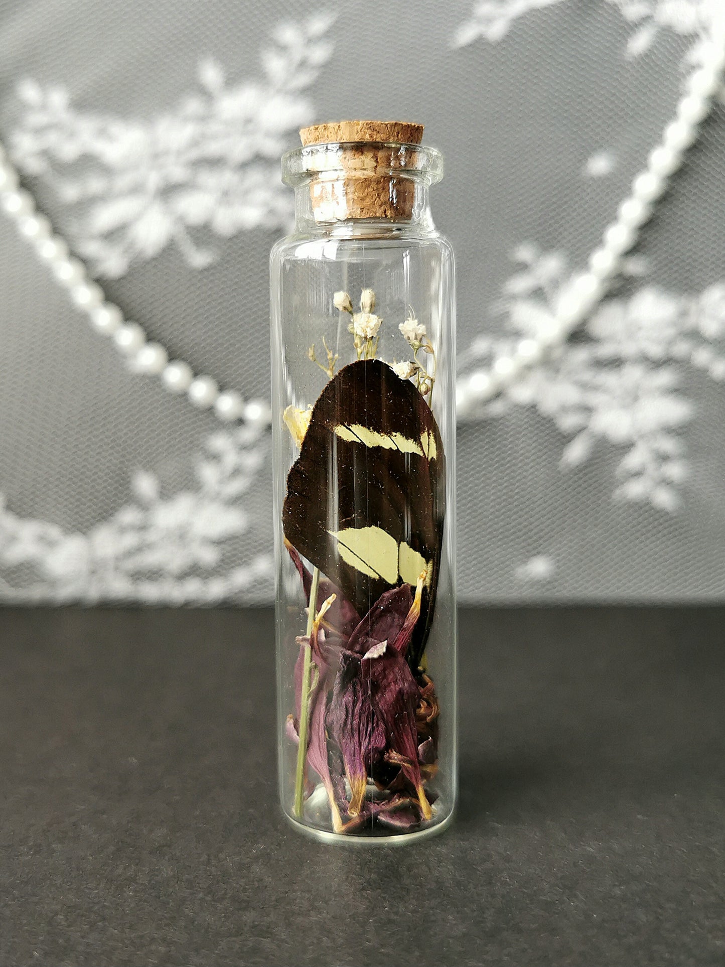 Small curiosity bottle