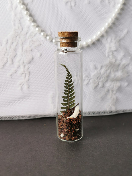 Small curiosity bottle