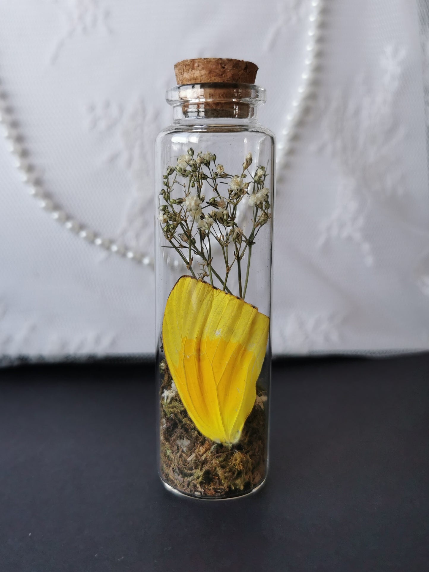 Large curiosity bottle