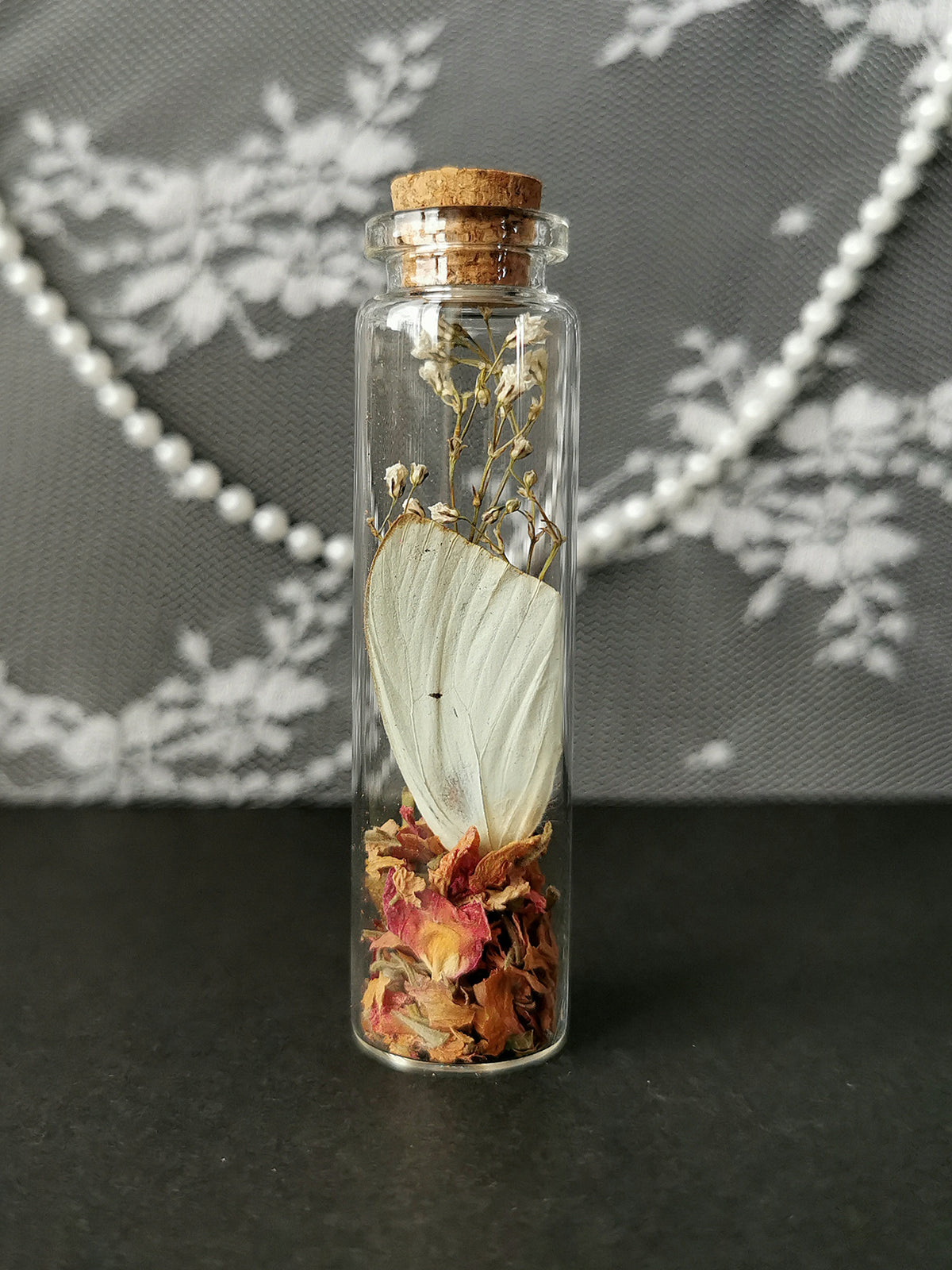Small curiosity bottle