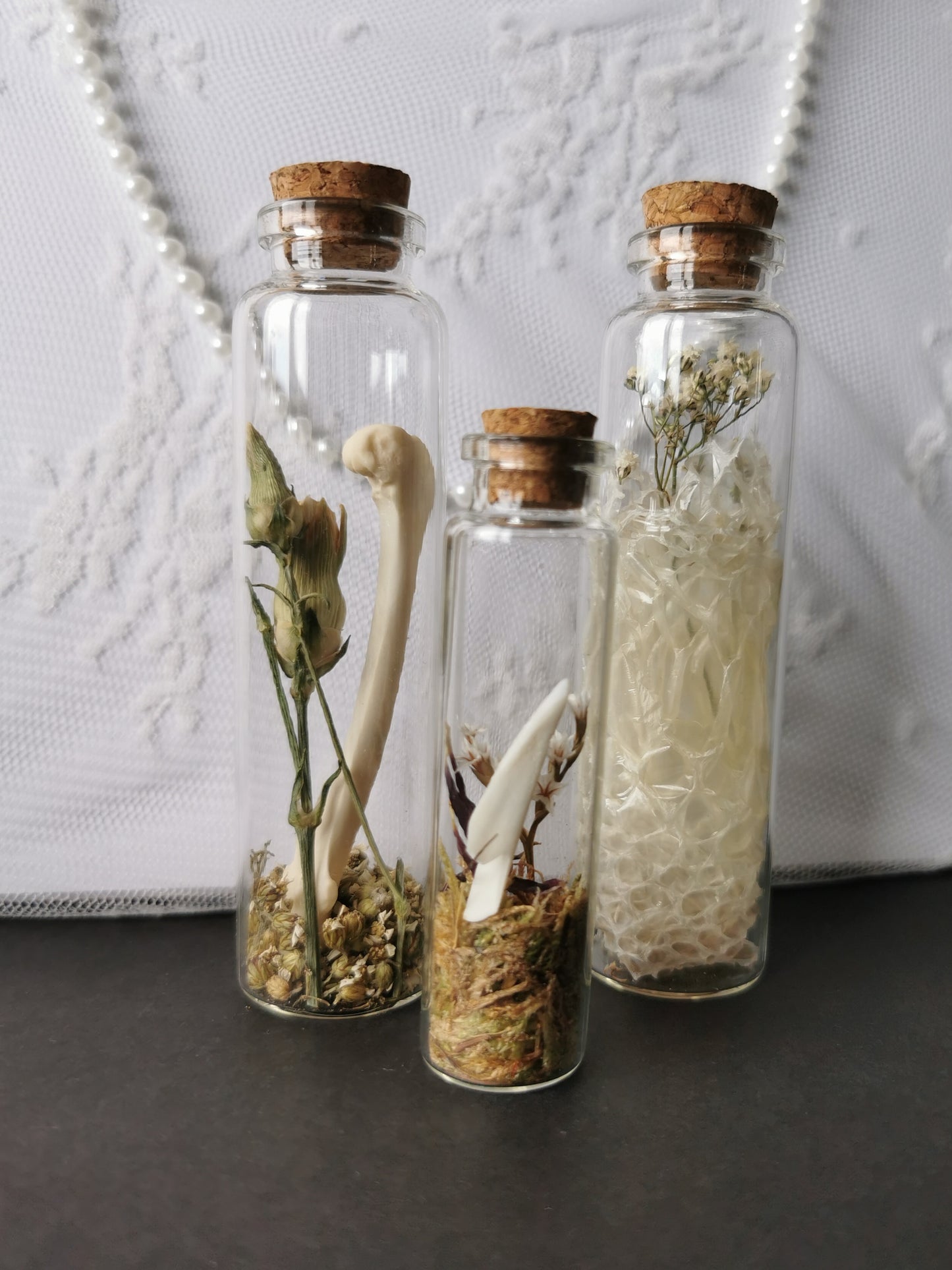 Curiosity bottle set