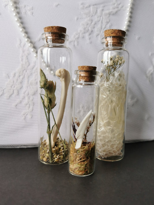 Curiosity bottle set
