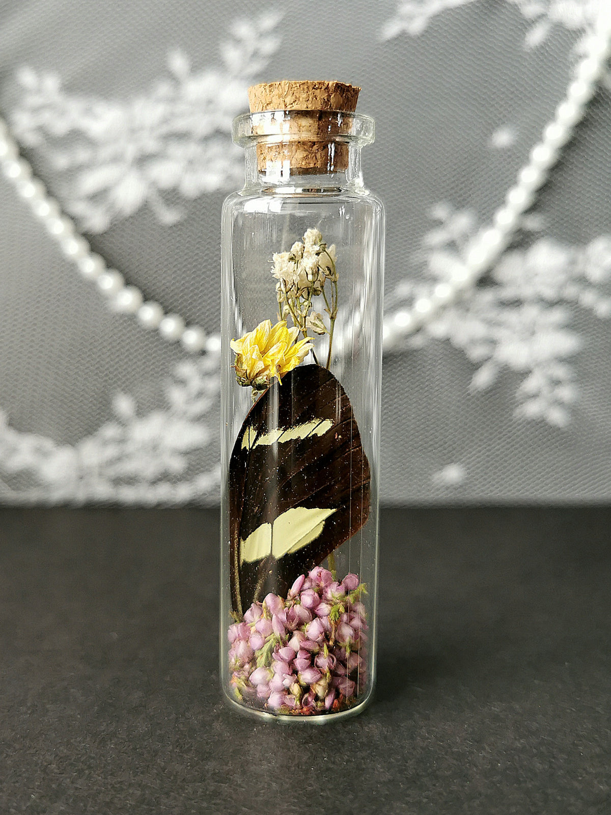 Small curiosity bottle