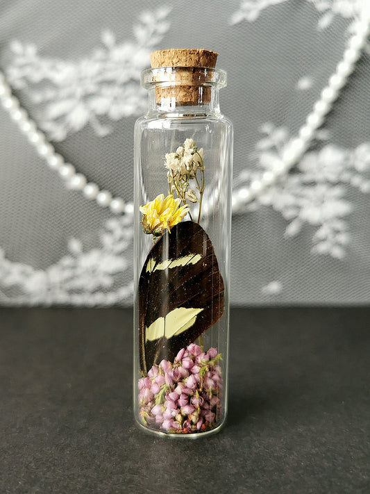 Small curiosity bottle