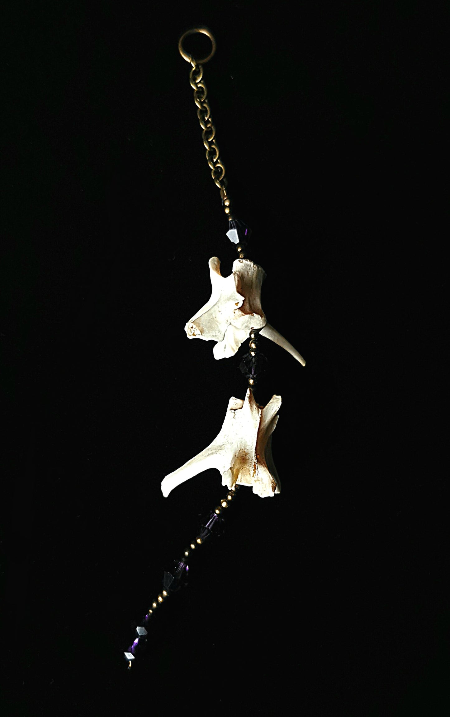 Rabbit vertebrae suncatcher