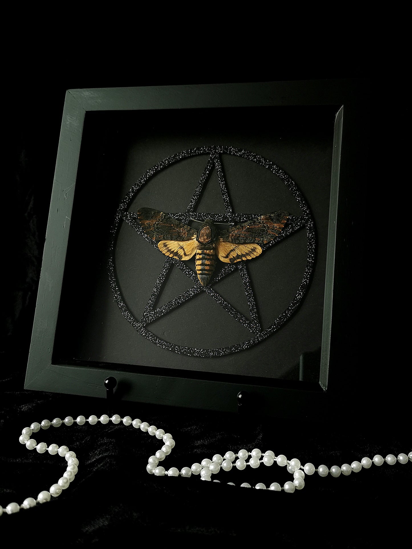 Death's Head Hawk Moth frame with glitter pentagram