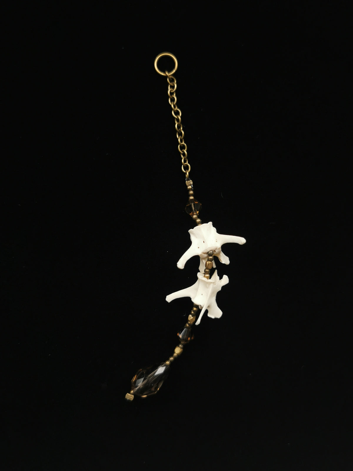 Rabbit vertebrae suncatcher