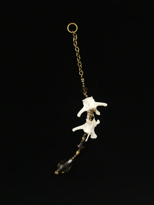 Rabbit vertebrae suncatcher