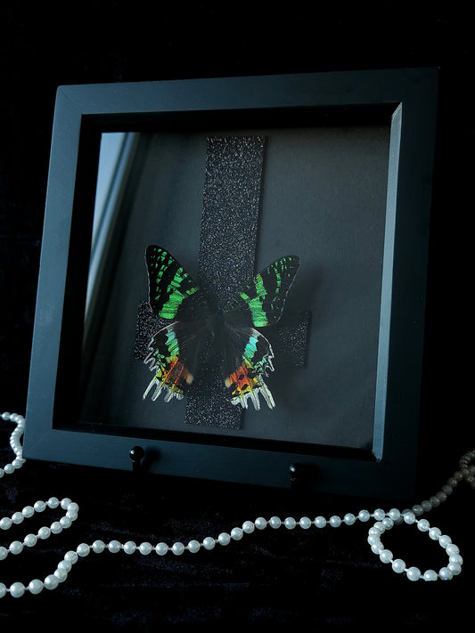 Madagascan Sunset moth frame with gothic glitter inverted cross
