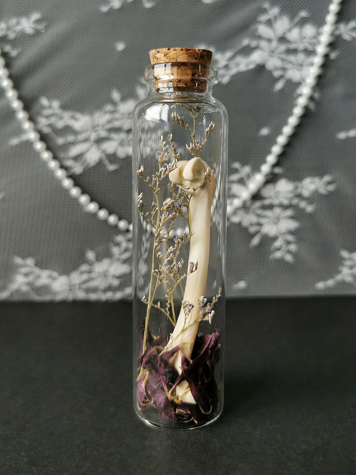Large curiosity bottle