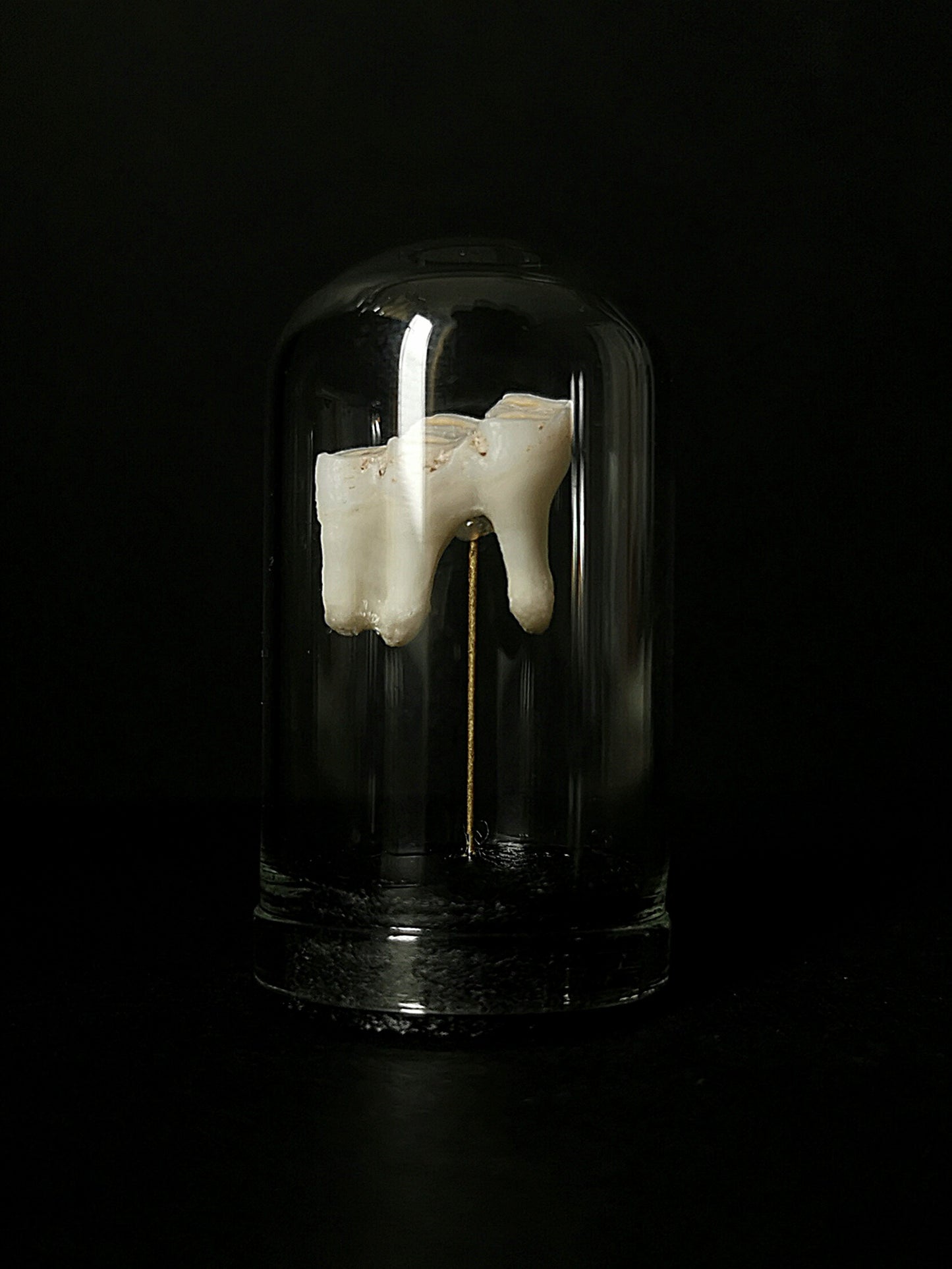 Small tooth dome